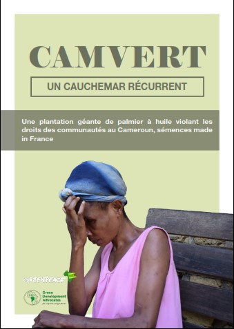 Greenpeace and GDA scandal report on Camvert palm oil project in the South Region of Cameroon / GreenPeace Afrique et Green Development Advocates mettent à nu les effets désastreux d’une plantation de palmier à huile de Camvert dans la Région du Sud du Cameroun