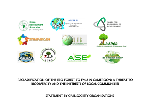 RECLASSIFICATION OF THE EBO FOREST TO FMU IN CAMEROON: A THREAT TO BIODIVERSITY AND THE INTERESTS OF LOCAL COMMUNITIES /  RECLASSEMENT DE LA FORET D’EBO EN UFA AU CAMEROUN : PERIL POUR LA BIODIVERSITE ET LES INTERETS DES COMMUNAUTES RIVERAINES